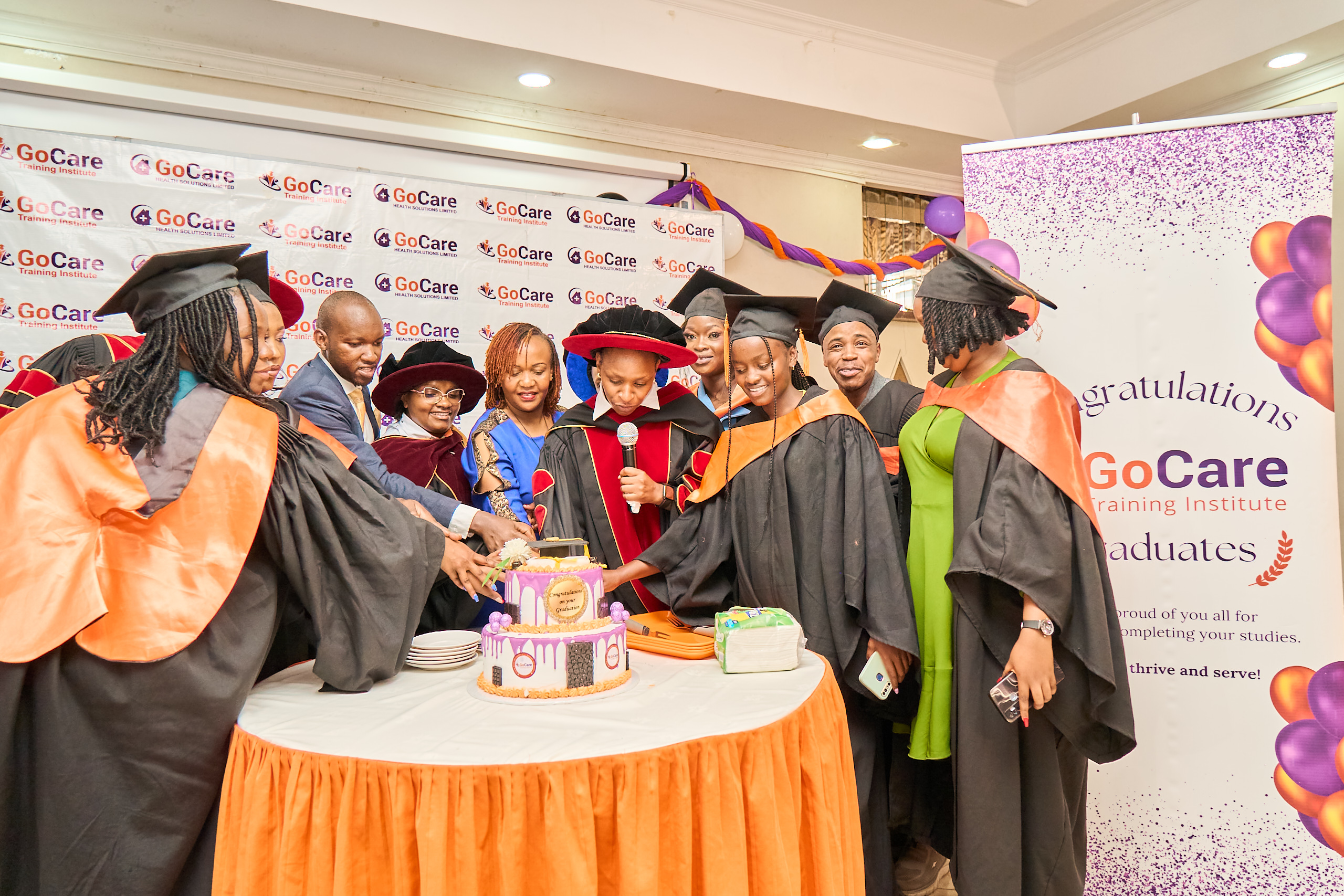 GoCare international training programme