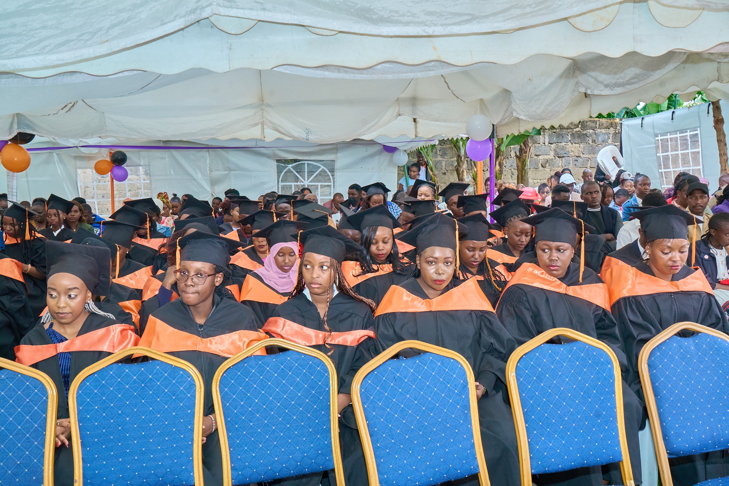 GoCare D-plus students